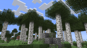 Not Just Biomes: улучшение генерации мира