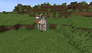 The Doppelganger: загадочные двойники