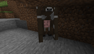 The Doppelganger: загадочные двойники