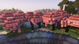 Sakura: преображение берёзовых лесов в цветущие вишни