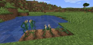 Wildest Adventure: новые мобы, структуры и деревья