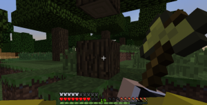 Real First-Person Render: реалистичный вид от первого лица Real First-Person Render: реалистичный вид от первого лица