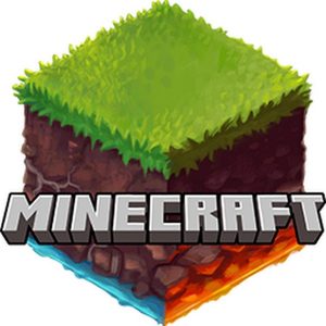 Какие есть виды Minecraft серверов