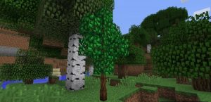 Мод Simply Tea! для Minecraft — выращивайте чай и готовьте напитки Мод Simply Tea! для Minecraft — выращивайте чай и готовьте напитки